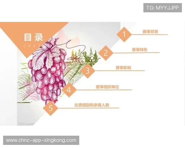 体育赛事策划：从方案到执行的全流程